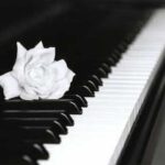 دانلود آهنگ باز آمدم  معین